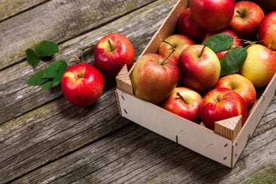 Que faire des pommes pour qu’elles se conservent très longtemps et ne se gâtent pas